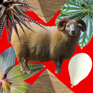 无梦房间安卓版