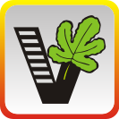 我要自学网 v1.3.11 苹果版