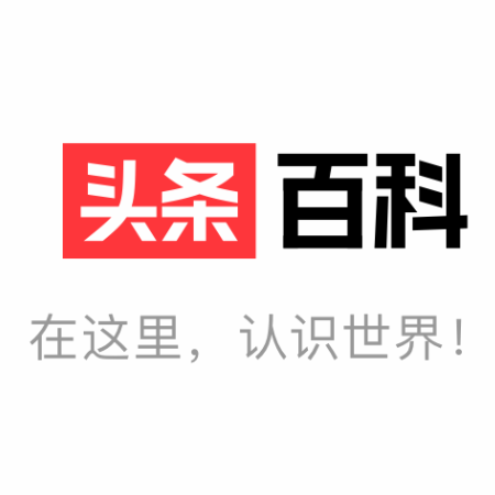 头条百科 v1.0.0 电脑版