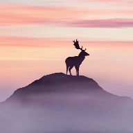 GC工具箱app v2.5 安卓版