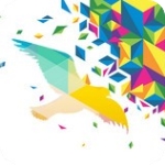 一个奇欧 v1.0 安卓版