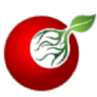 接码平台电脑版 v1.0 绿色版