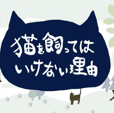 不能养猫的理由 1.11.0 安卓汉化版