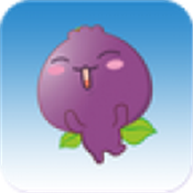 和系 4.62 苹果版