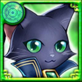 黑猫维兹 v2.1.0.6 安卓版
