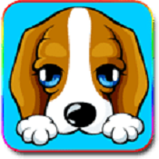 宠物大联盟 v1.0.13 安卓版