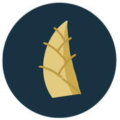 几枝Chrome扩展插件