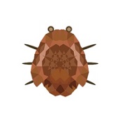 小波踩虫子游戏 v1.0.0 苹果版