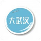 大武汉app
