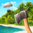 双人海岛求生游戏