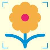 识花大师app安卓版