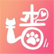 趴趴墙app安卓版