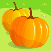 南瓜森林最新版