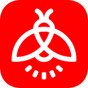 火萤视频壁纸 v7.3.1 安卓版