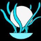 极限考生团体战正式版