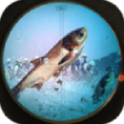 快艇狩猎鱼安卓中文版