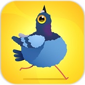 疯狂的鸽子游戏 1.1.3 安卓版