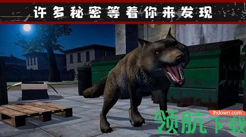 我的流浪生涯安卓无广告版下载-我的流浪生涯手机版下载v1.0.1