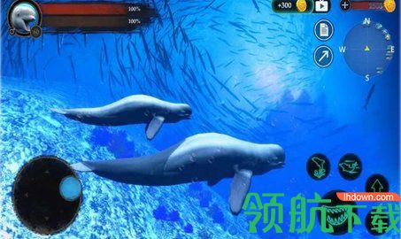 海洋大捕杀中文版下载-海洋大捕杀最新版下载v1.0.2