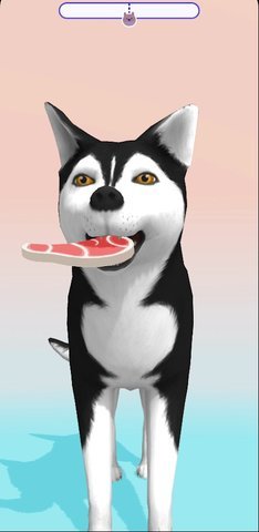 狗狗ASMR最新版下载-狗狗ASMR安卓版下载v1.0.1