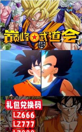 巅峰武道会游戏正式版下载-巅峰武道会手游安卓版下载v1.0