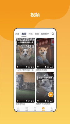 养宠无忧app下载-养宠无忧下载v1.0.10