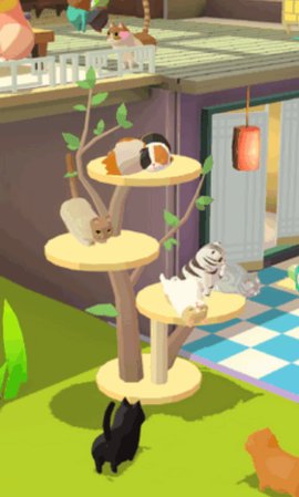 我需要猫咪中文破解版