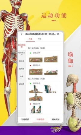 3Dbody解剖软件最新版下载-3Dbody解剖app手机版下载v8.6.00