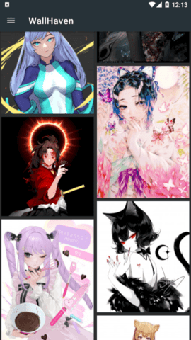 WallHaven超高清lsp壁纸下载神器PC版下载-WallHaven壁纸批量下载最新版下载v2021.12.25