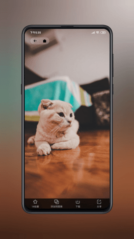 纸塘壁纸最新破解版