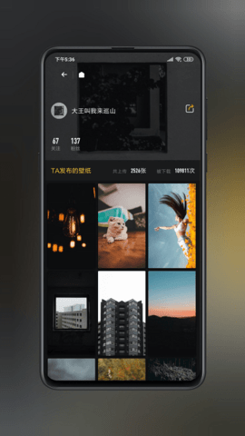 纸塘壁纸最新破解版