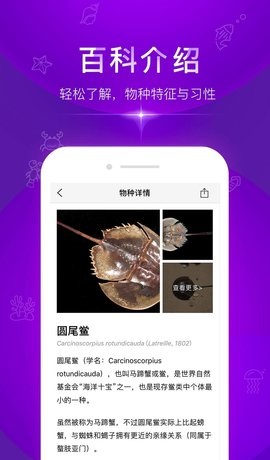 问鱼手机版下载-问鱼app下载v1.1.7