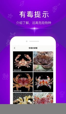 问鱼手机版下载-问鱼app下载v1.1.7
