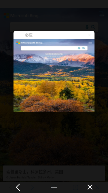 爱搜浏览器app下载-爱搜浏览器手机版下载v1.0.0