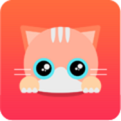 奇喵背词安卓版