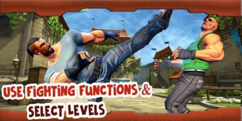 真实街头致命战斗中文版下载-真实街头致命战斗安卓版下载V1.4