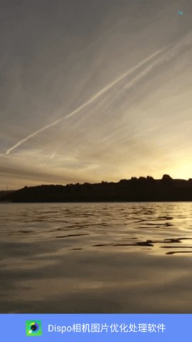 Dispo相机安卓版下载-Dispo相机免费版下载v1.7.2