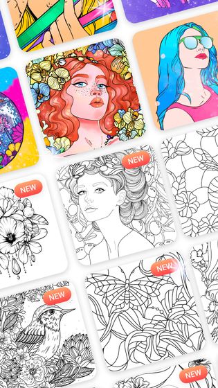 数字填色免广告破解版