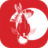 寻鱼安卓版