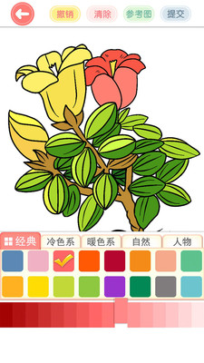 涂色花园 v2.15 安卓破解版