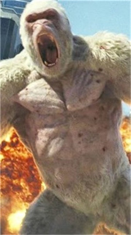 哥斯拉金刚王国最新版下载-哥斯拉金刚王国安卓版下载v1.3