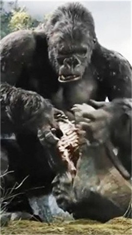 哥斯拉金刚王国最新版下载-哥斯拉金刚王国安卓版下载v1.3