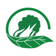 五泉菜市网上生鲜安卓