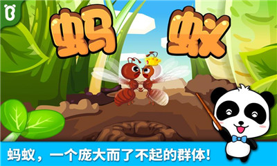 宝宝认蚂蚁游戏2022最新版下载-宝宝认蚂蚁手游安卓版下载v9.61.00.00