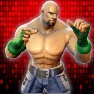 真实街头致命战斗安卓版