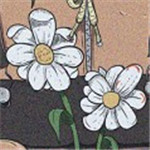 随心音乐 v6.3.0.0 绿色免费版