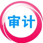 鼎信诺审计系统 V6.0 官方版