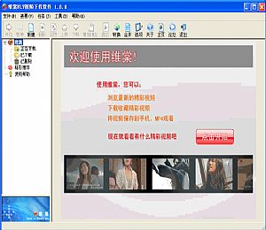 维棠FLV视频下载软件 去广告绿色版