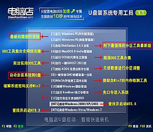 电脑店u盘强制格式化工具 2.0 绿色版