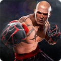 真实拳击对决下载